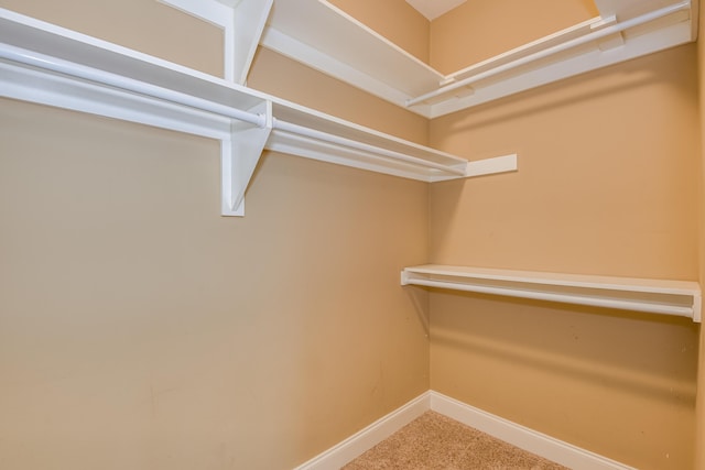 524 Jutland Way, Evans, GA 30809 - spacious closet with carpet floors