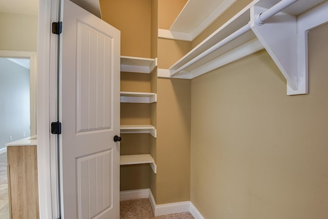 524 Jutland Way, Evans, GA 30809 - walk in closet featuring carpet floors