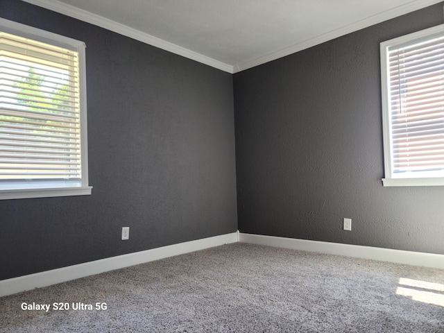 2306 Overlook Rd, Augusta, GA 30906 - photo 21