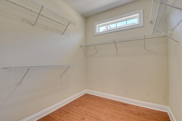 walk in closet with light wood-style floors