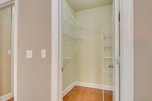 spacious closet featuring light wood finished floors