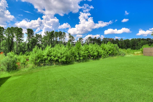 1856 Preservation Cir, Evans, GA 30809 - view of grassy yard