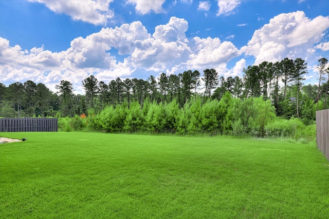 1856 Preservation Cir, Evans, GA 30809 - view of yard