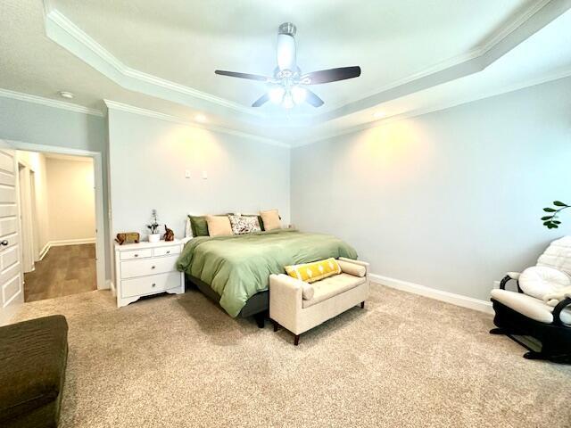 carpeted bedroom with a raised ceiling, ceiling fan, and crown molding