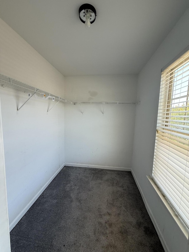 8522 Crenshaw Dr, Grovetown, GA 30813 - photo 36