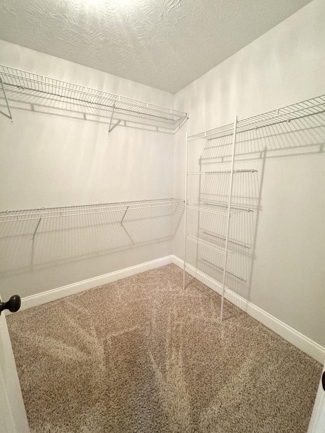 1026 Barrett Dr, Evans, GA 30809 - spacious closet with carpet floors