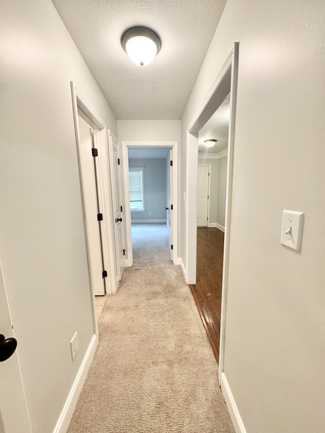 1026 Barrett Dr, Evans, GA 30809 - hall with light colored carpet and baseboards