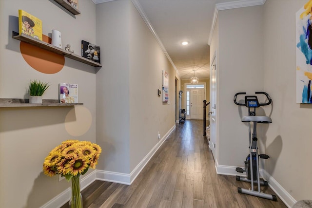 corridor featuring ornamental molding and dark hardwood / wood-style floors