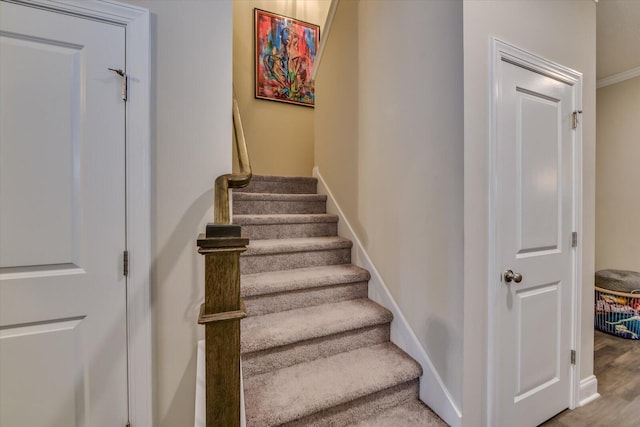 stairway featuring crown molding and hardwood / wood-style floors