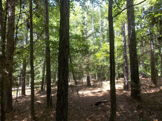 1054 Pine Point Ln, Tignall, GA 30668