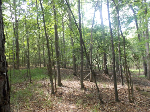 1054 Pine Point Ln, Tignall, GA 30668