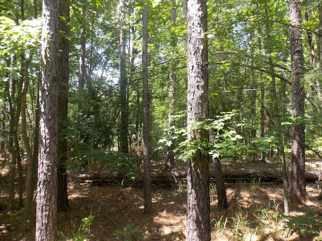1054 Pine Point Ln, Tignall, GA 30668