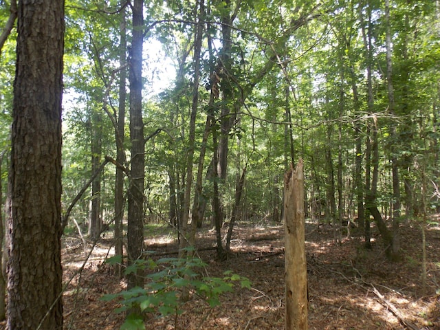 1054 Pine Point Ln, Tignall, GA 30668