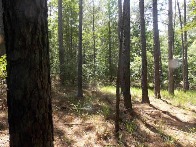 1054 Pine Point Ln, Tignall, GA 30668
