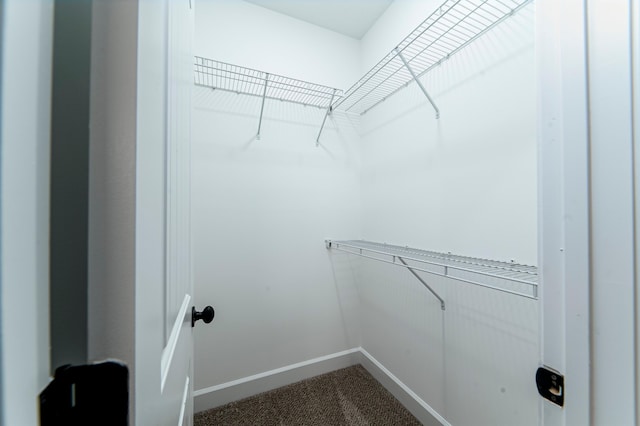 645 Jet Pass, Beech Island, SC 29842 - spacious closet featuring dark carpet