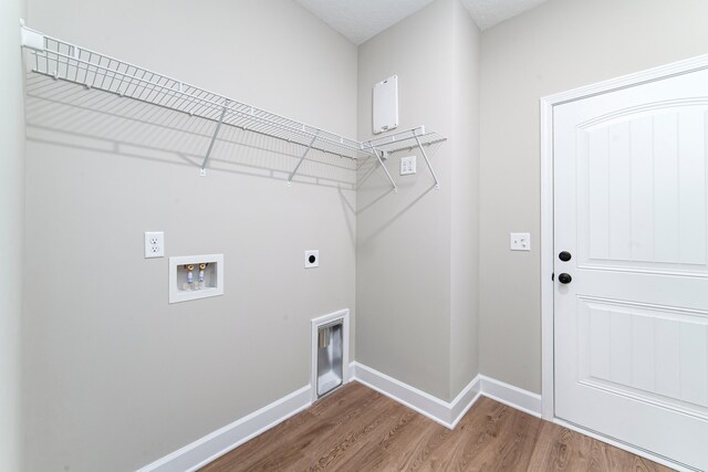 645 Jet Pass, Beech Island, SC 29842 - laundry room with hookup for an electric dryer, wood finished floors, hookup for a washing machine, and baseboards