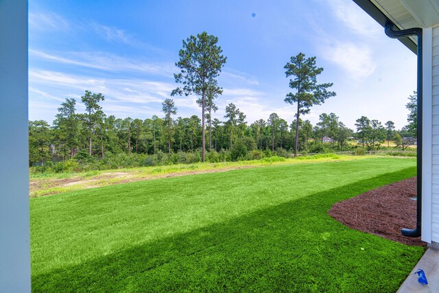 645 Jet Pass, Beech Island, SC 29842 - view of green lawn