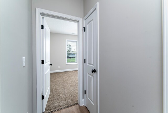 645 Jet Pass, Beech Island, SC 29842 - hallway featuring baseboards, wood finished floors, and carpet