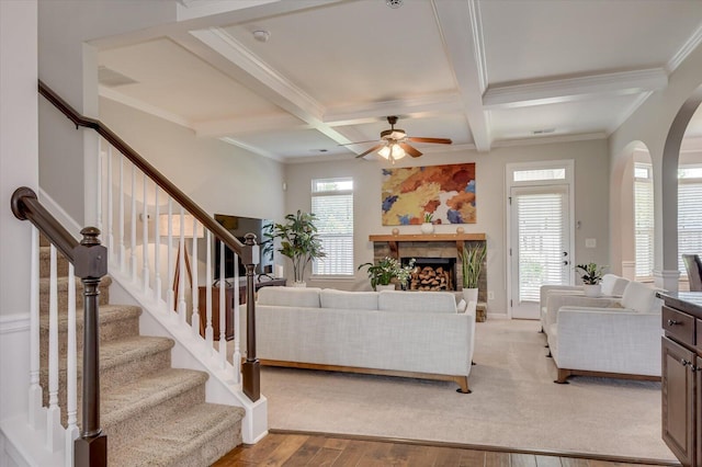 living room with a fireplace, crown molding, light hardwood / wood-style flooring, and a healthy amount of sunlight