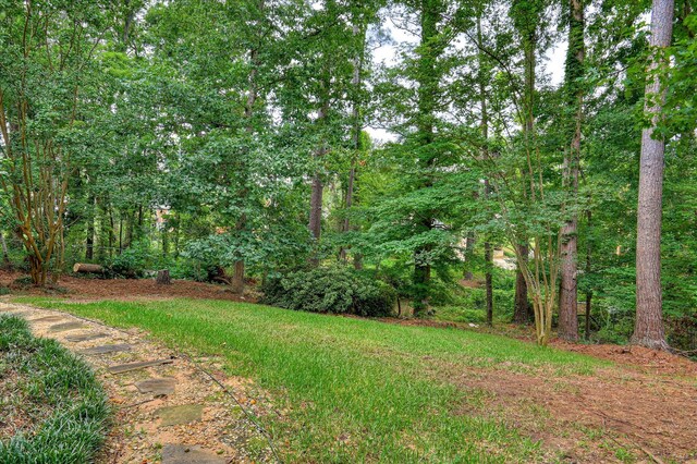 3696 El Cordero Ranch Springs Rd, Augusta, GA 30907 - view of yard