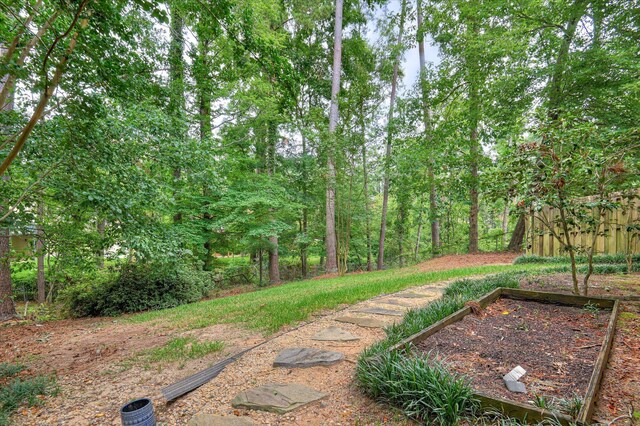 3696 El Cordero Ranch Springs Rd, Augusta, GA 30907 - view of yard featuring a vegetable garden