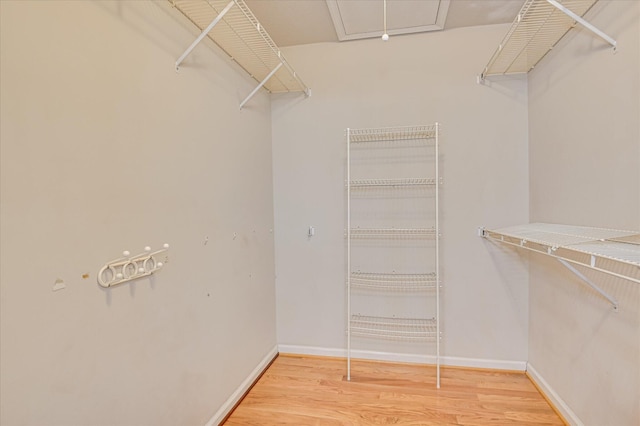 3696 El Cordero Ranch Springs Rd, Augusta, GA 30907 - spacious closet with attic access and light wood-style flooring