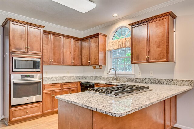 3696 El Cordero Ranch Springs Rd, Augusta, GA 30907 - kitchen featuring appliances with stainless steel finishes, a peninsula, light wood-style floors, a sink, and crown molding