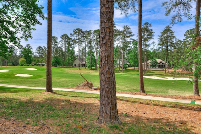 137 Elgin Ln, Mccormick, SC 29835 - view of home's community featuring a yard and golf course view