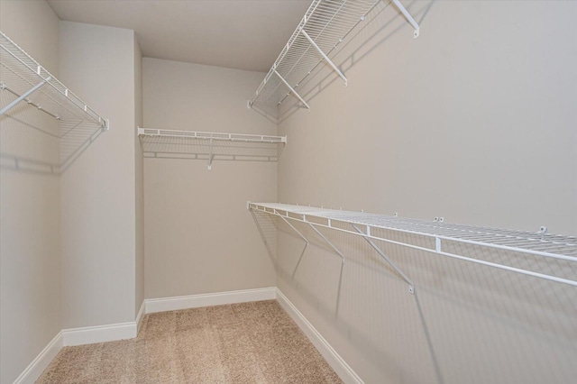 walk in closet with carpet