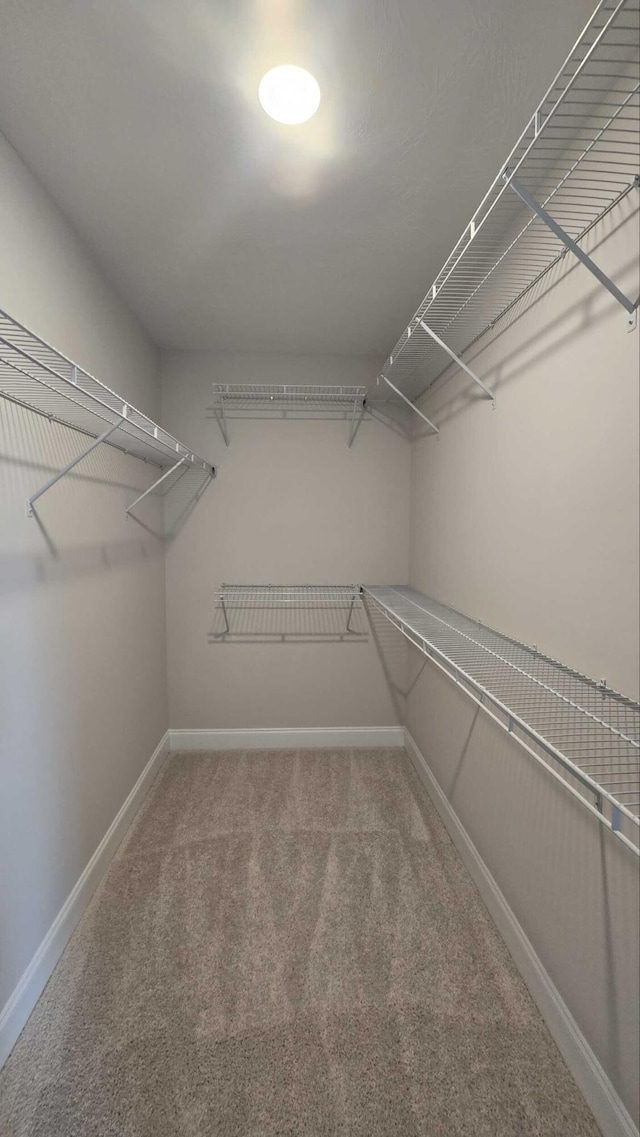 1759 Storm Branch Rd, Beech Island, SC 29842 - walk in closet featuring carpet
