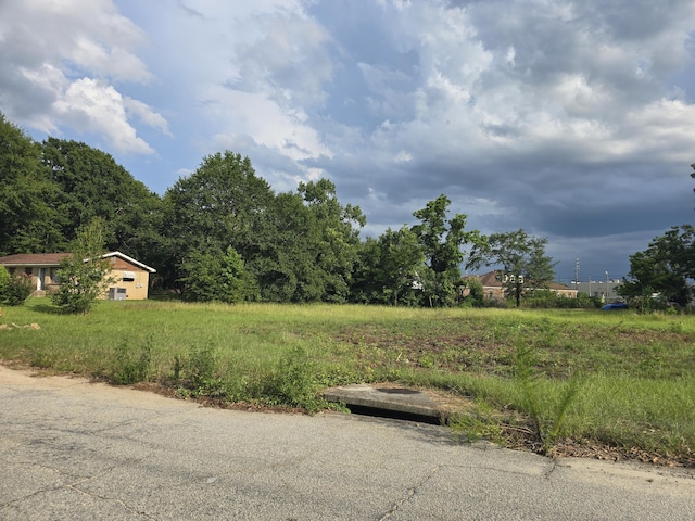 1402 Marks Church Rd, Augusta, GA 30909 - photo 3