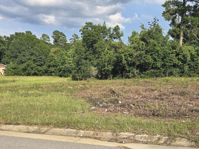 1402 Marks Church Rd, Augusta, GA 30909 - photo 13