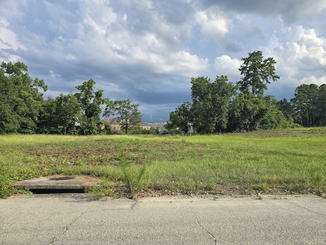 1402 Marks Church Rd, Augusta, GA 30909 - photo 2