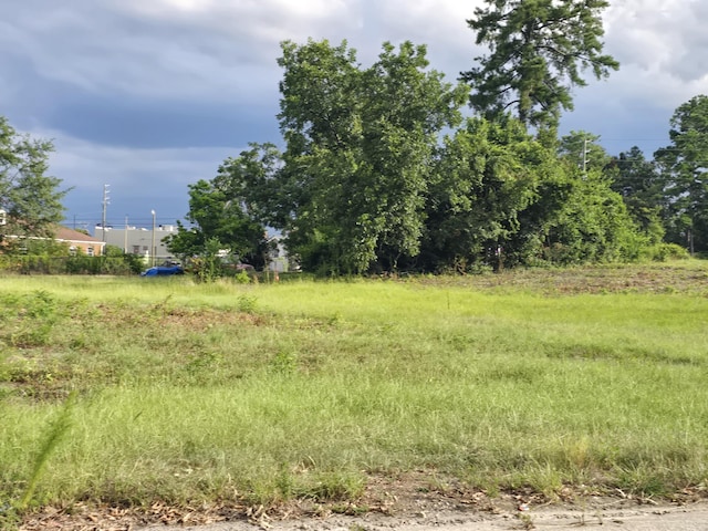 1402 Marks Church Rd, Augusta, GA 30909 - photo 5