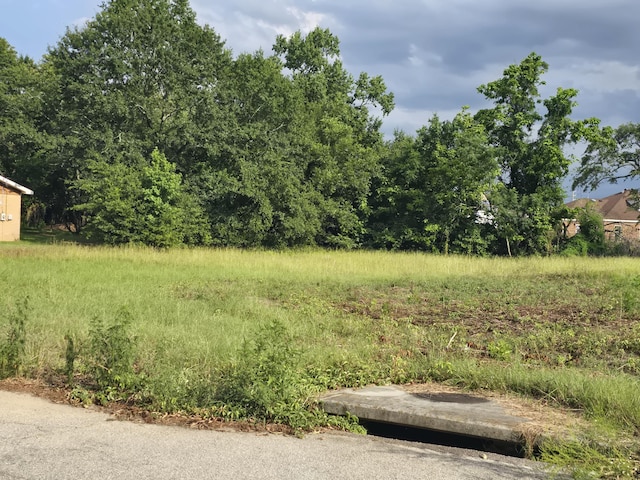 1402 Marks Church Rd, Augusta, GA 30909 - photo 7