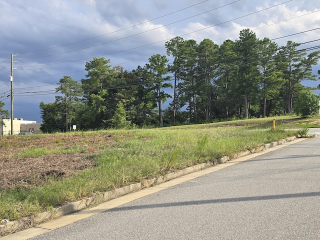 1402 Marks Church Rd, Augusta, GA 30909 - photo 15