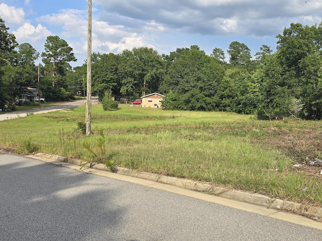 1402 Marks Church Rd, Augusta, GA 30909 - photo 16