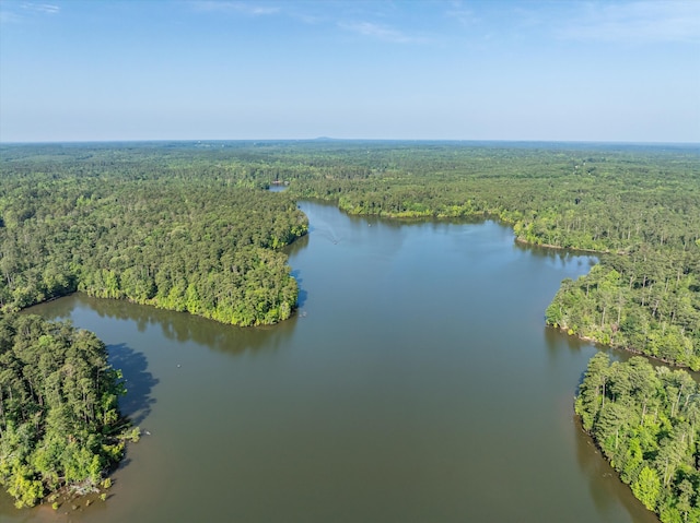 1036 Longleaf Way, Lincolnton, GA 30817 - drone / aerial view of a forest and a large body of water