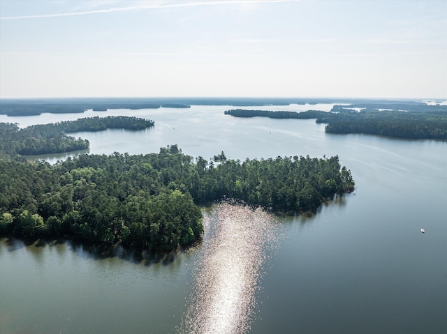 1036 Longleaf Way, Lincolnton, GA 30817 - drone / aerial view of a nearby body of water