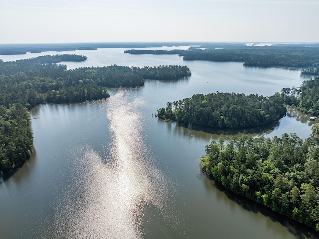 1036 Longleaf Way, Lincolnton, GA 30817 - bird's eye view of a nearby body of water and a forest