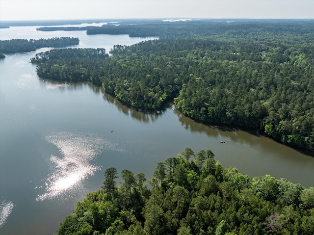 1036 Longleaf Way, Lincolnton, GA 30817 - drone / aerial view of a heavily wooded area and a nearby body of water