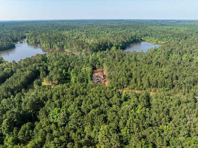 1036 Longleaf Way, Lincolnton, GA 30817 - aerial view of property's location with a forest and a nearby body of water