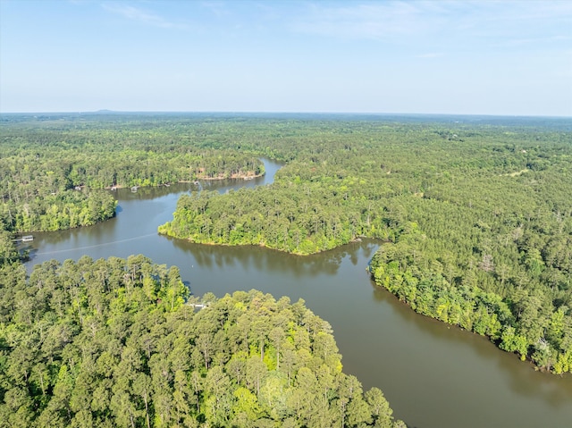 1036 Longleaf Way, Lincolnton, GA 30817 - aerial view of property's location with a forest and a nearby body of water