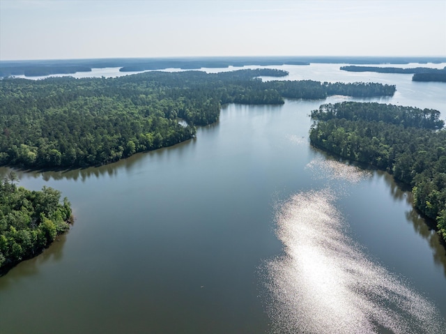 1036 Longleaf Way, Lincolnton, GA 30817 - aerial view of a forest and a large body of water