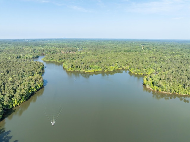 1036 Longleaf Way, Lincolnton, GA 30817 - aerial view of a heavily wooded area and a large body of water