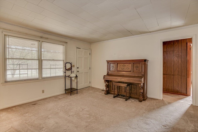 1775 Metasville Rd, Lincolnton, GA 30817 - unfurnished room featuring ornamental molding, light carpet, and baseboards