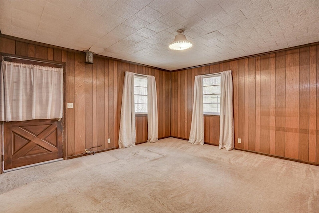 1775 Metasville Rd, Lincolnton, GA 30817 - unfurnished room with light carpet and wood walls