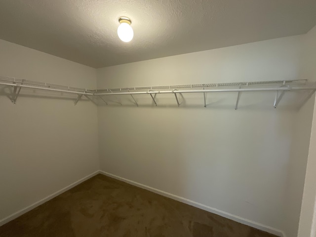 930 Hunting Horn Way, Evans, GA 30809 - spacious closet featuring dark carpet