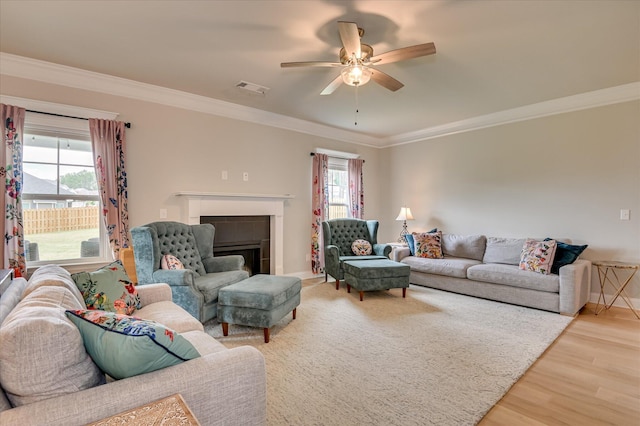 323 Granard St, Grovetown, GA 30813 - photo 15