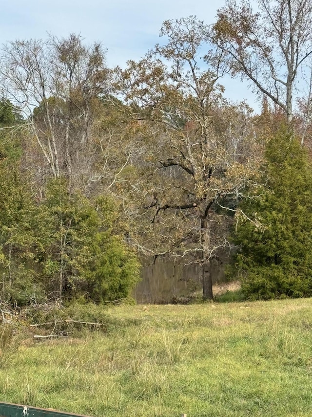 351 Bordeaux Dr, Thomson, GA 30824 - view of nature with a wooded view